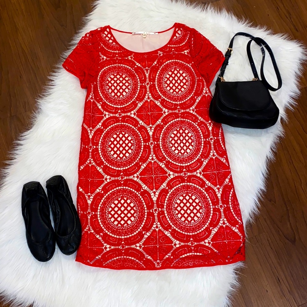 Chelsea & Violet Lace Shift Dress